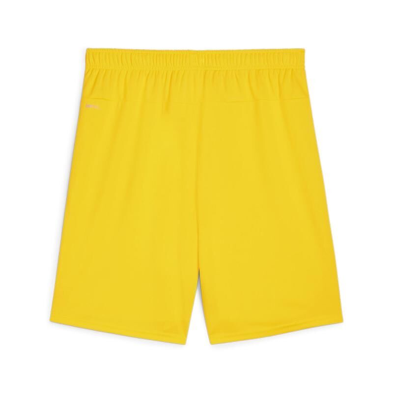 5067 22816 1c4e4cf2fd0e teamgoal shorts 00 li faster yellow puma black.jpg