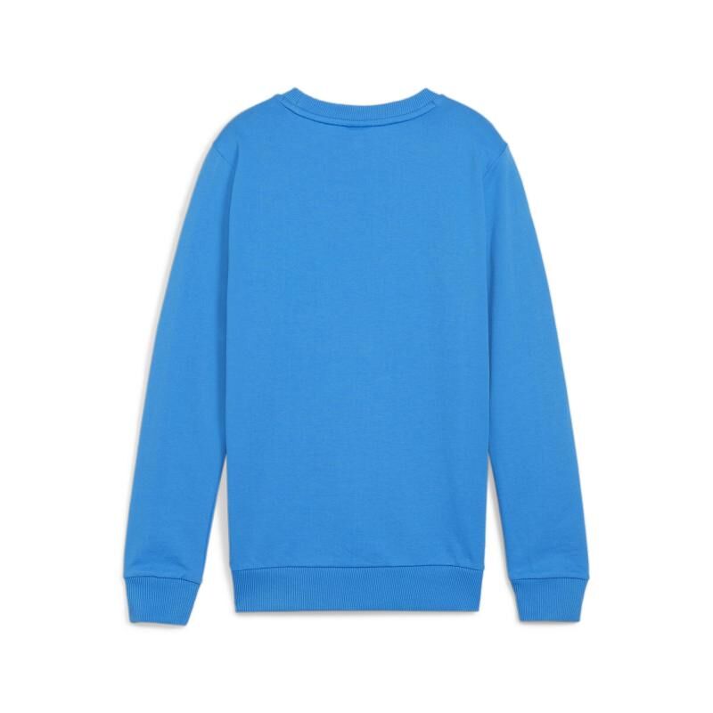 5091 23195 8bfd37b12ebf baumwollsweater 00 li l re ignite blue puma white.jpg